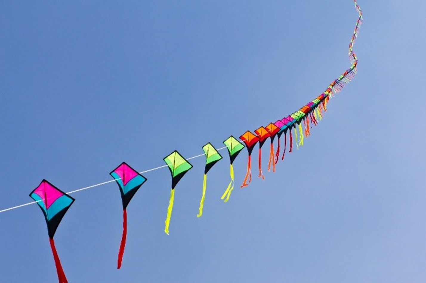 Alberta NonProfits’ Optimism Soars as Economy Heats Up PolicyWise