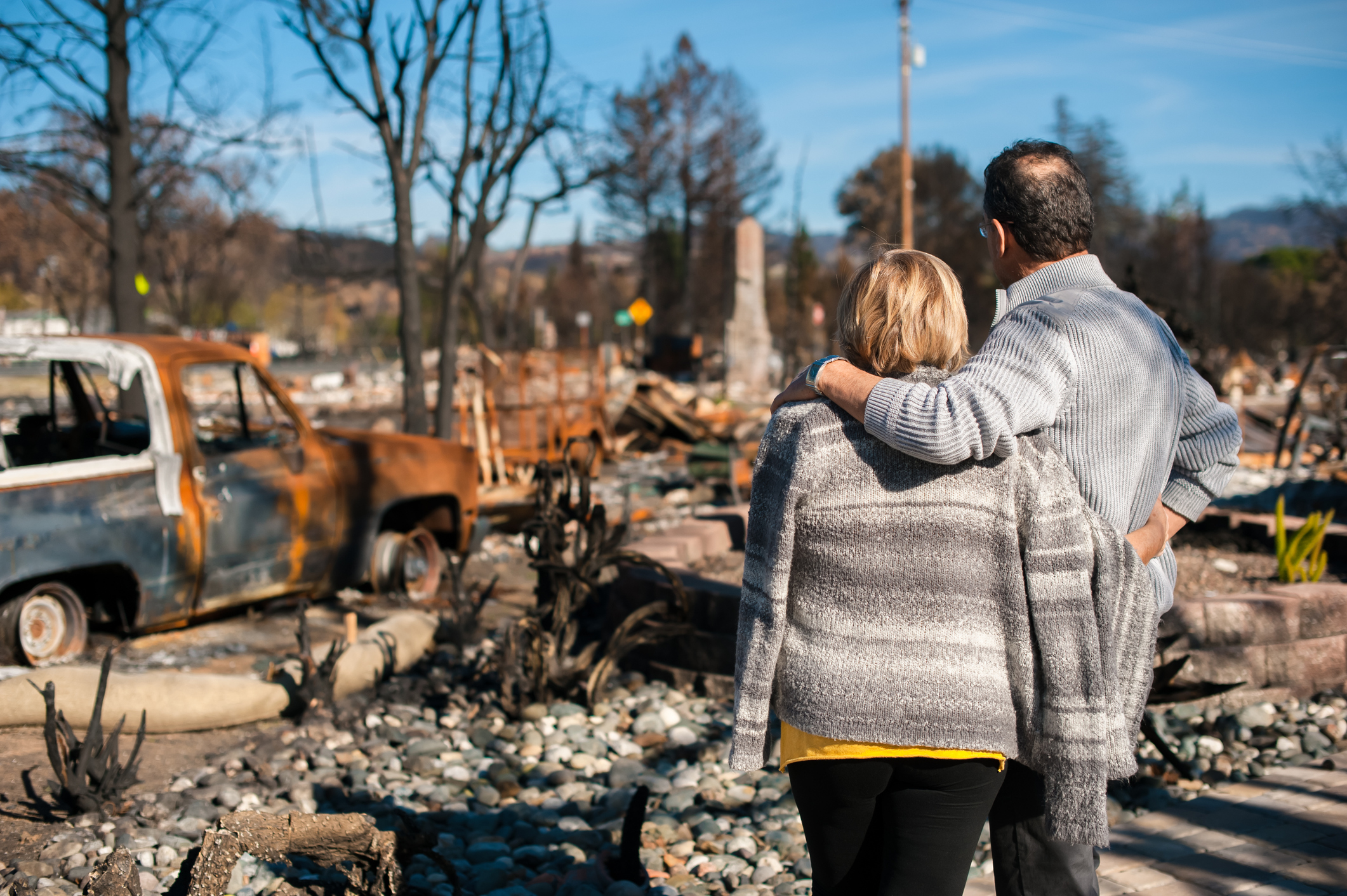 Strengthening Post-Disaster Mental Health and Well-Being Support ...