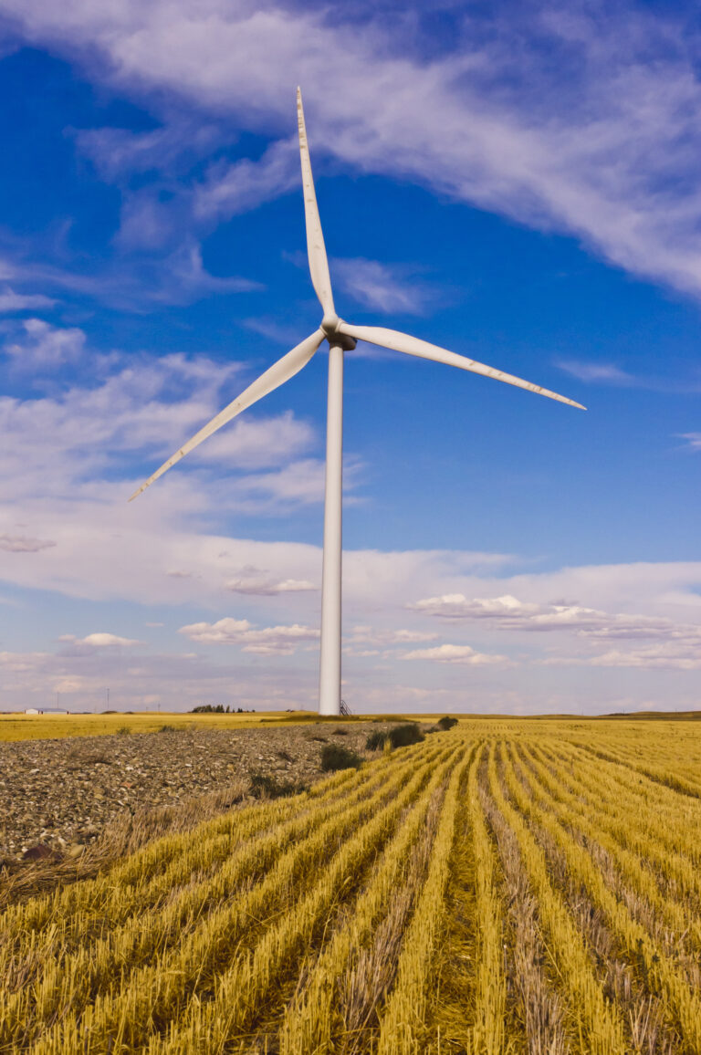 A giant wind turbine on the prairie near Fort Macleod, Alberta, Canada. PolicyWise shares 5 opportunities for action that help women thrive in the green energy sector and build a sustainable and equitable future.