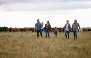 Farming, sustainability and family community on a farm walking together with cows in the background. Happy agriculture countryside group relax holding hands in a green sustainable field in nature. Image used for PoliyWise's Rural Mental Health Project.