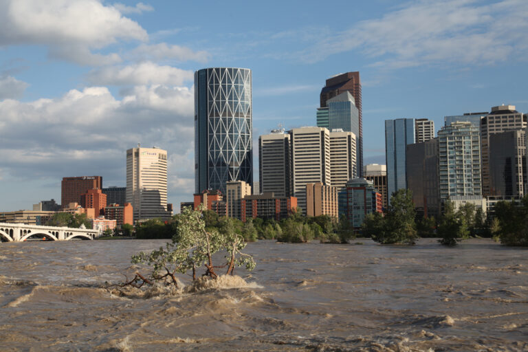 Calgary, Alberta, Canada - June 22, 2013: Trees endure strong currents caused by record water levels in the Bow River.