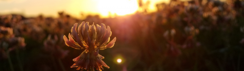 Nov Twitter Images - 2022-05-31T104633.324