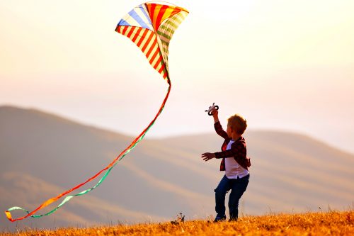 business & fund development