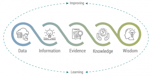 wisdomcycle