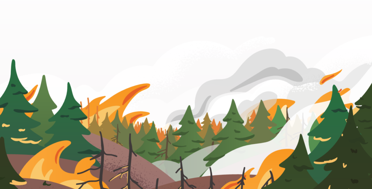 Wildfires in Canada: Toolkit for public health authorities